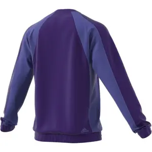 Sweatshirt adidas Harden Foundation image-2