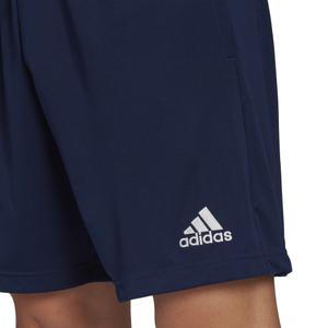 Training shorts adidas Entrada 22 image-5