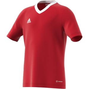 Camiseta para niños adidas Entrada 22 image-1
