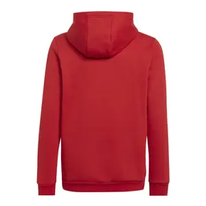 Kinder-Kapuzenpullover adidas Entrada 22 image-1