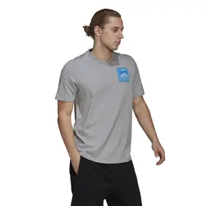 Koszulka adidas Terrex Patch Mountain Graphic image-6