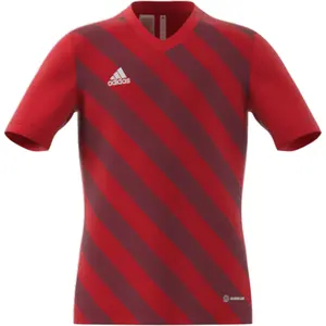 Camiseta para niños adidas Entrada 22 Graphic image-1
