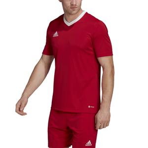 Maglia Adidas Entrada 22 image-6