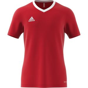 Maglia Adidas Entrada 22 image-2