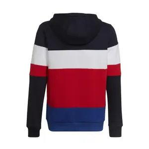 Sweatshirt för barn adidas Colorblock Fleece image-4