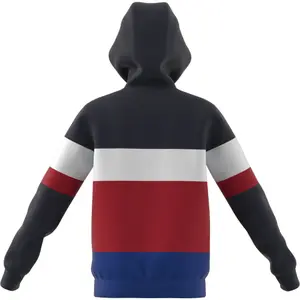 Sweatshirt för barn adidas Colorblock Fleece image-5