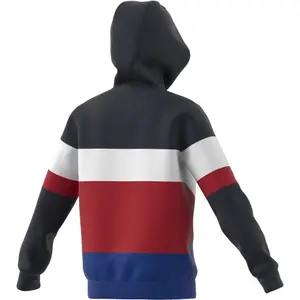 Sweatshirt för barn adidas Colorblock Fleece image-6