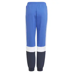 Byxor för barn adidas Essentials Colorblock image-1
