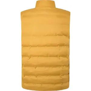 Daunenweste Hackett image-1