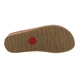 Chodaki Haflinger Grizzly Torben image-4