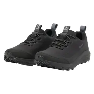 Hiking shoes Haglöfs L.I.M FH GTX Low image-1