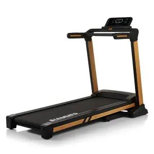 Treadmill Hammer FlyRun 4.0 NorsK