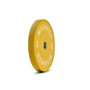 Δίσκος βαρών Hammer 15 kg image-1