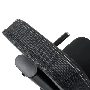 Body-building press Hammer Maximum image-2