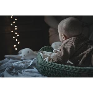 Baby basket Happy Moses image-2
