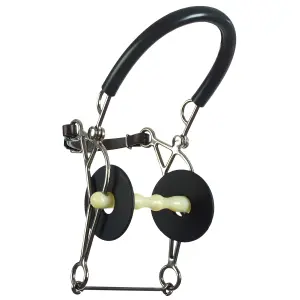 Combined bit for horse Happy Mouth Mullen Hackamore