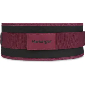 Cintura lombare Harbinger Foam Core 4.5