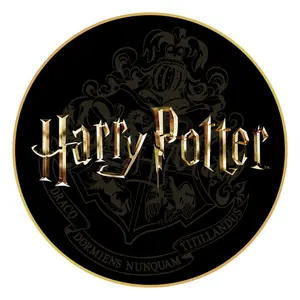Tapis de sol gamer antidérapant emballage abîmé Harry Potter Logo