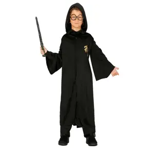 Disguise apprentice magician Harry Potter image-0