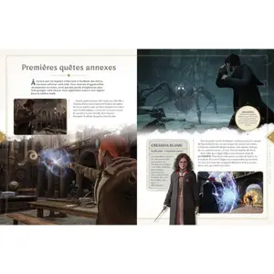 Boek de officiële spelgids Harry Potter Hogwarts Legacy image-2