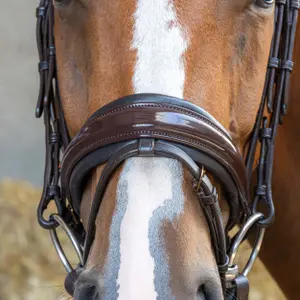 Σέσουλα ιππασίας με συνδυασμένη μασέλα Harry's Horse Copper image-2