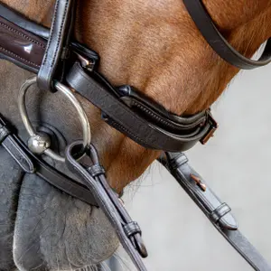 Σέσουλα ιππασίας με συνδυασμένη μασέλα Harry's Horse Copper image-3