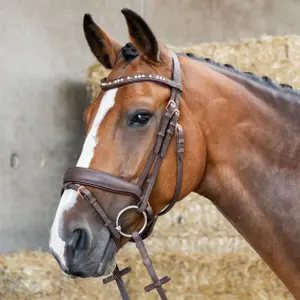 Σέσουλα ιππασίας με συνδυασμένη μασέλα Harry's Horse Soft Bombastic Crystals image-2
