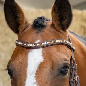 Σέσουλα ιππασίας με συνδυασμένη μασέλα Harry's Horse Soft Bombastic Crystals image-3