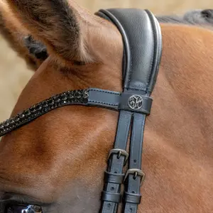 Ανατομικά χειρίδια ιππασίας για άλογα Harry's Horse image-1