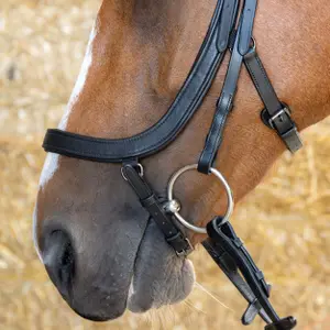 Ανατομικά χειρίδια ιππασίας για άλογα Harry's Horse image-2