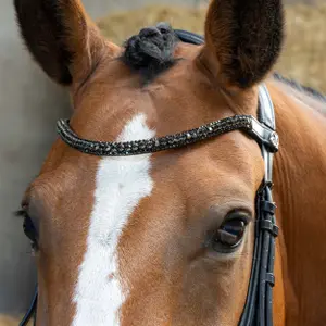 Ανατομικά χειρίδια ιππασίας για άλογα Harry's Horse image-3