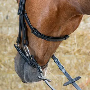 Ανατομικά χειρίδια ιππασίας για άλογα Harry's Horse image-4