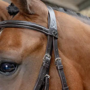 Anatomisch Mexicaans dubbelrijig hoofdstel Harry's Horse image-1