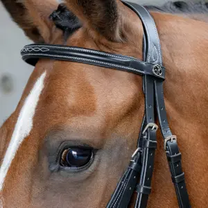 Anatomisch Mexicaans dubbelrijig hoofdstel Harry's Horse image-1