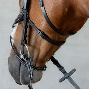 Anatomisch Mexicaans dubbelrijig hoofdstel Harry's Horse image-3