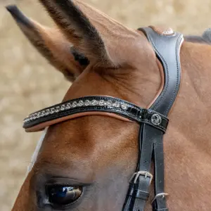 Σέσουλα ιππασίας με συνδυασμένη μασέλα Harry's Horse image-2