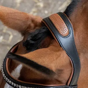 Σέσουλα ιππασίας με συνδυασμένη μασέλα Harry's Horse image-3