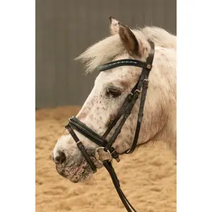 Hoofdstellen voor paarden Harry's Horse Stout! image-2