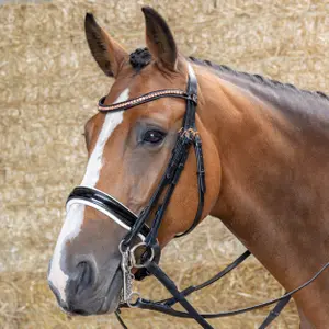 Σέσουλα ιππασίας με συνδυασμένη μασέλα Harry's Horse S&T Soft image-1