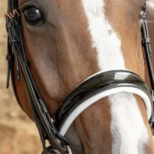 Σέσουλα ιππασίας με συνδυασμένη μασέλα Harry's Horse S&T Soft image-2