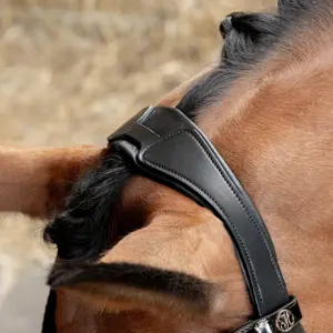 Σέσουλα ιππασίας με συνδυασμένη μασέλα Harry's Horse S&T Soft image-3