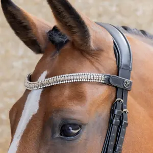 Frontal for horse Harry's Horse Clincher image-1