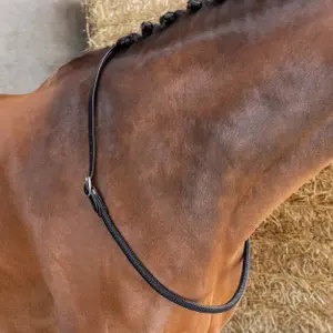Corde au cou pour cheval Harry's Horse Balancer image-0