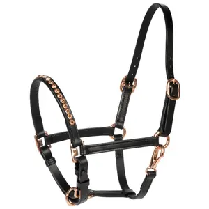 Pony halter Harry's Horse image-0