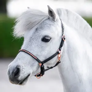 Pony halter Harry's Horse image-1
