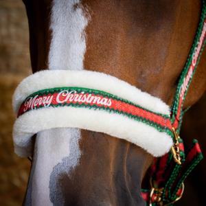 Bridle, lead rope and fly mask for horse Harry's Horse Christmas image-2