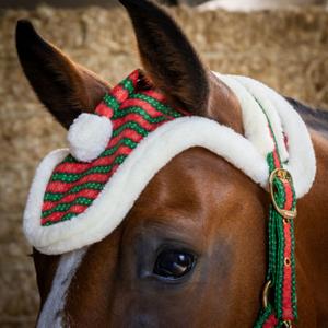 Bridle, lead rope and fly mask for horse Harry's Horse Christmas image-3