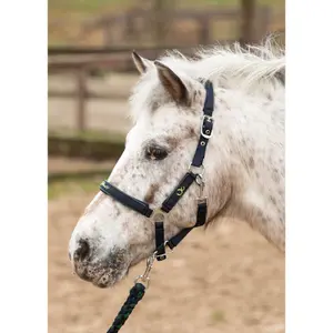 Halster en touwset voor paarden Harry's Horse Stout! image-1