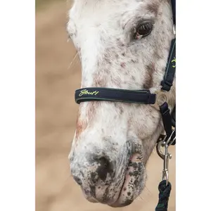 Halster en touwset voor paarden Harry's Horse Stout! image-2