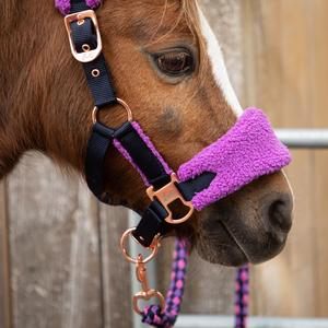 Halter and lead rope set for horse Harry's Horse LouLou Royce image-1